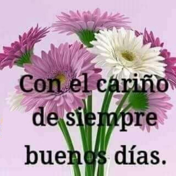 Meet your Posher, Ruth - Picture 1 of 1